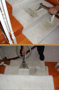 Carpet Cleaning Carpet Cleaning
