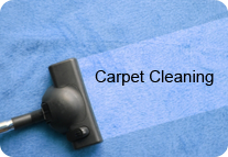 Carpet Cleaning
